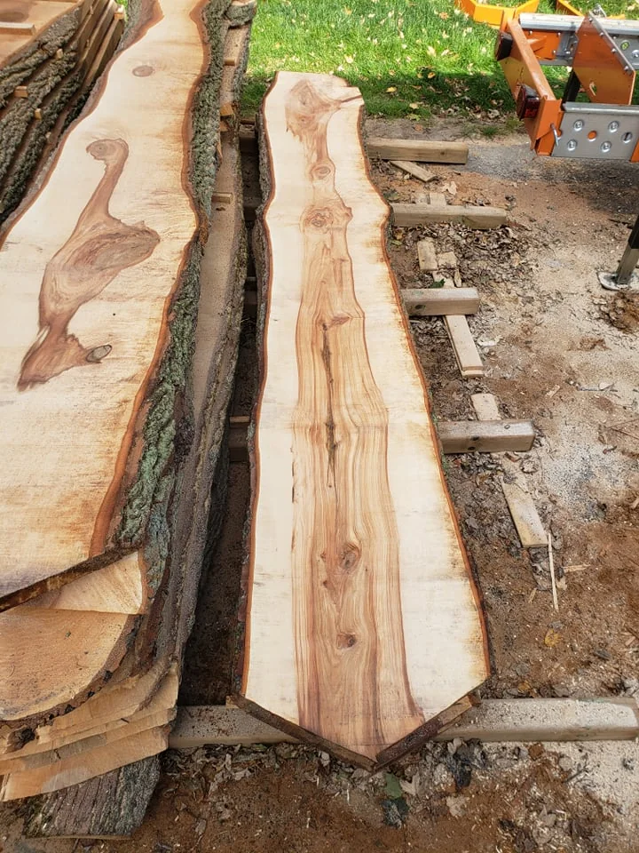 Slabs milled from the 100-year-old Norway Maple